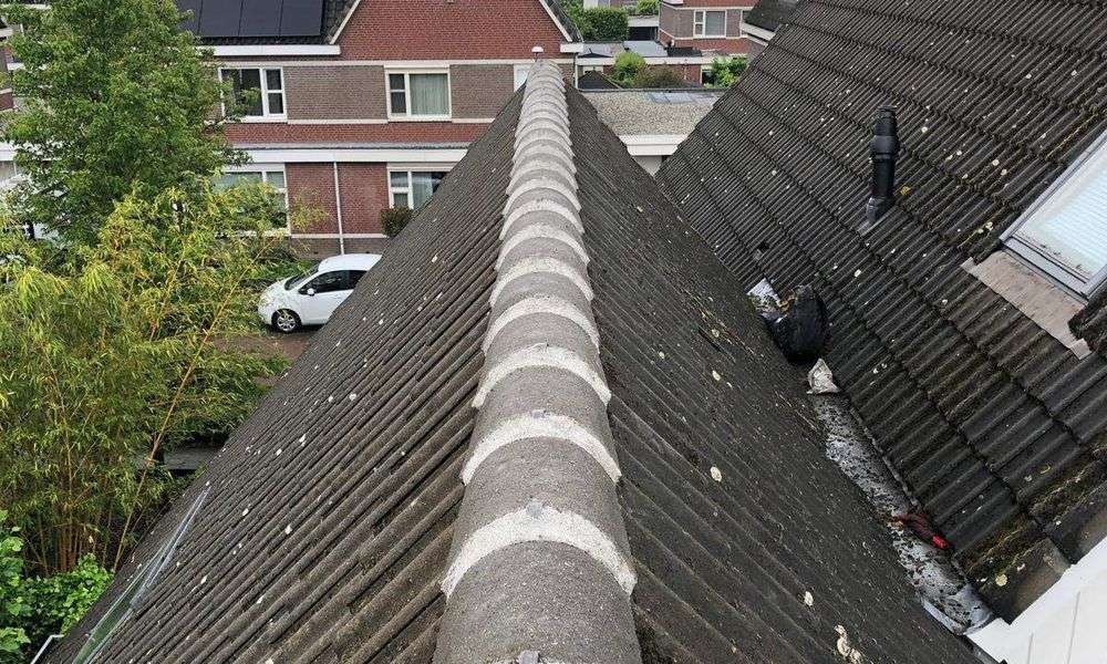 Repareren van nokvorsten in Waalwijk